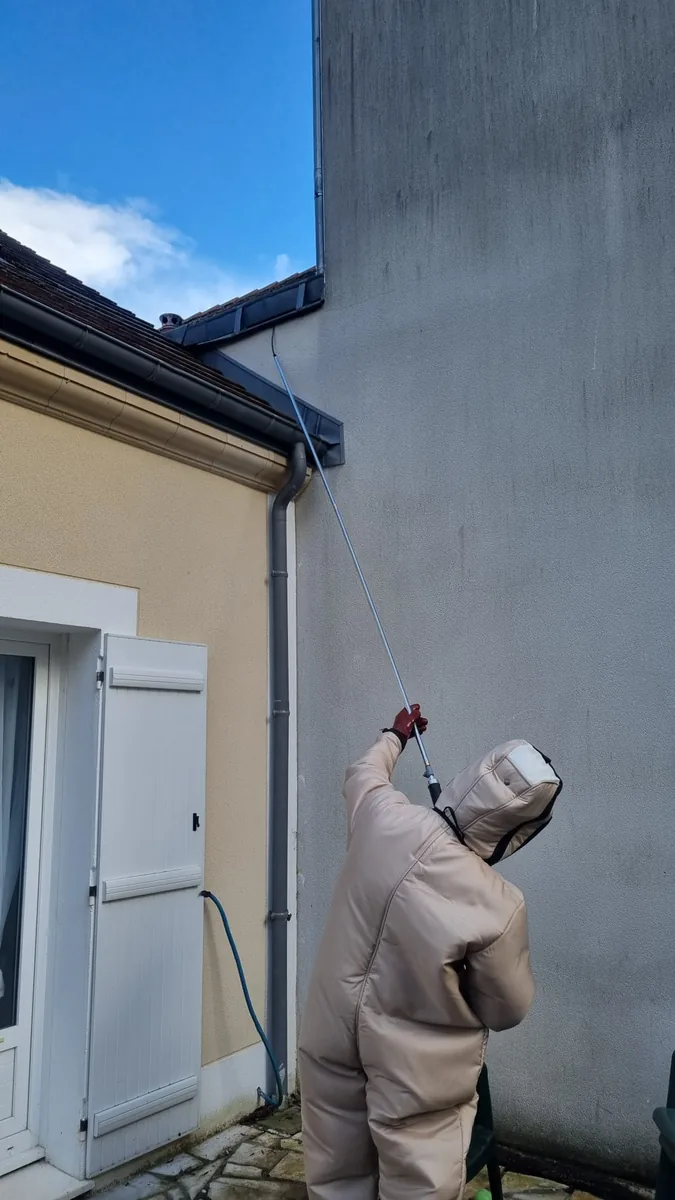 Destruction d'un nid de frelons asiatiques sous toiture à Chelles (77) — SOS Guêpes IDF