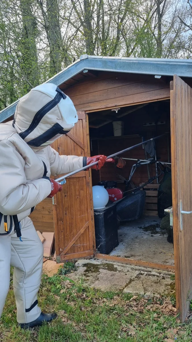 Destruction d'un nid de frelons asiatiques à Meaux (77) — SOS Guêpes IDF